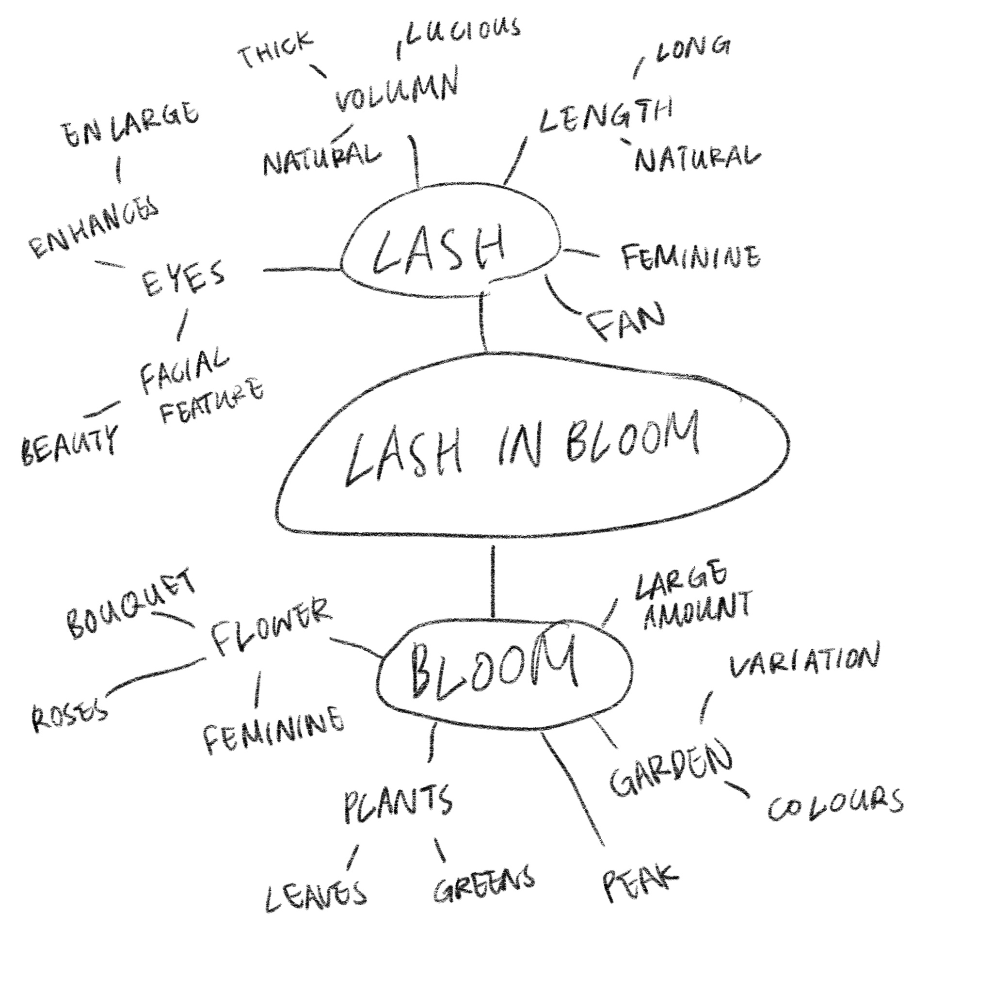Brainstorm